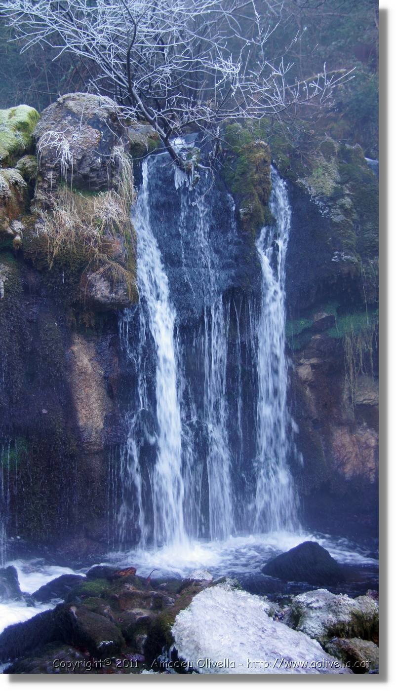 Bergada_301.jpg