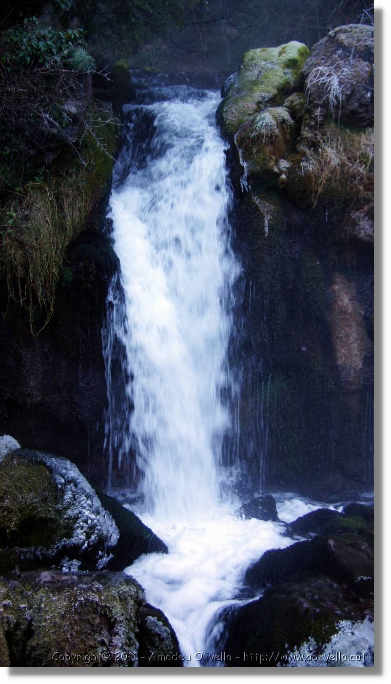 Bergada_302.jpg