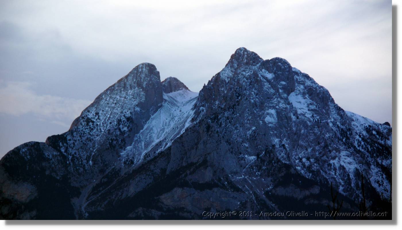 Bergada_345.jpg