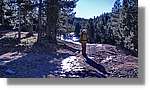 Bergada_074.jpg