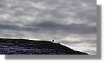 Bergada_210.jpg