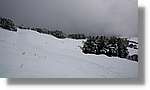 Montgrony_026.jpg