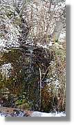 Pallars_048.jpg