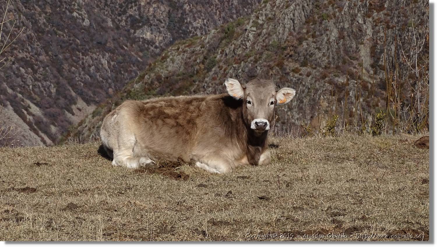 Boí-Durro_072.jpg