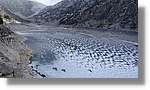 Cavallers_021.jpg