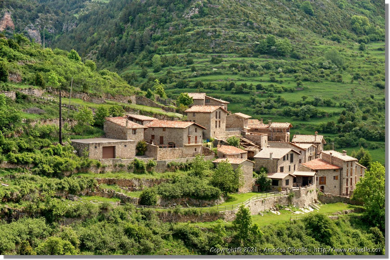 Llobregat_013.jpg