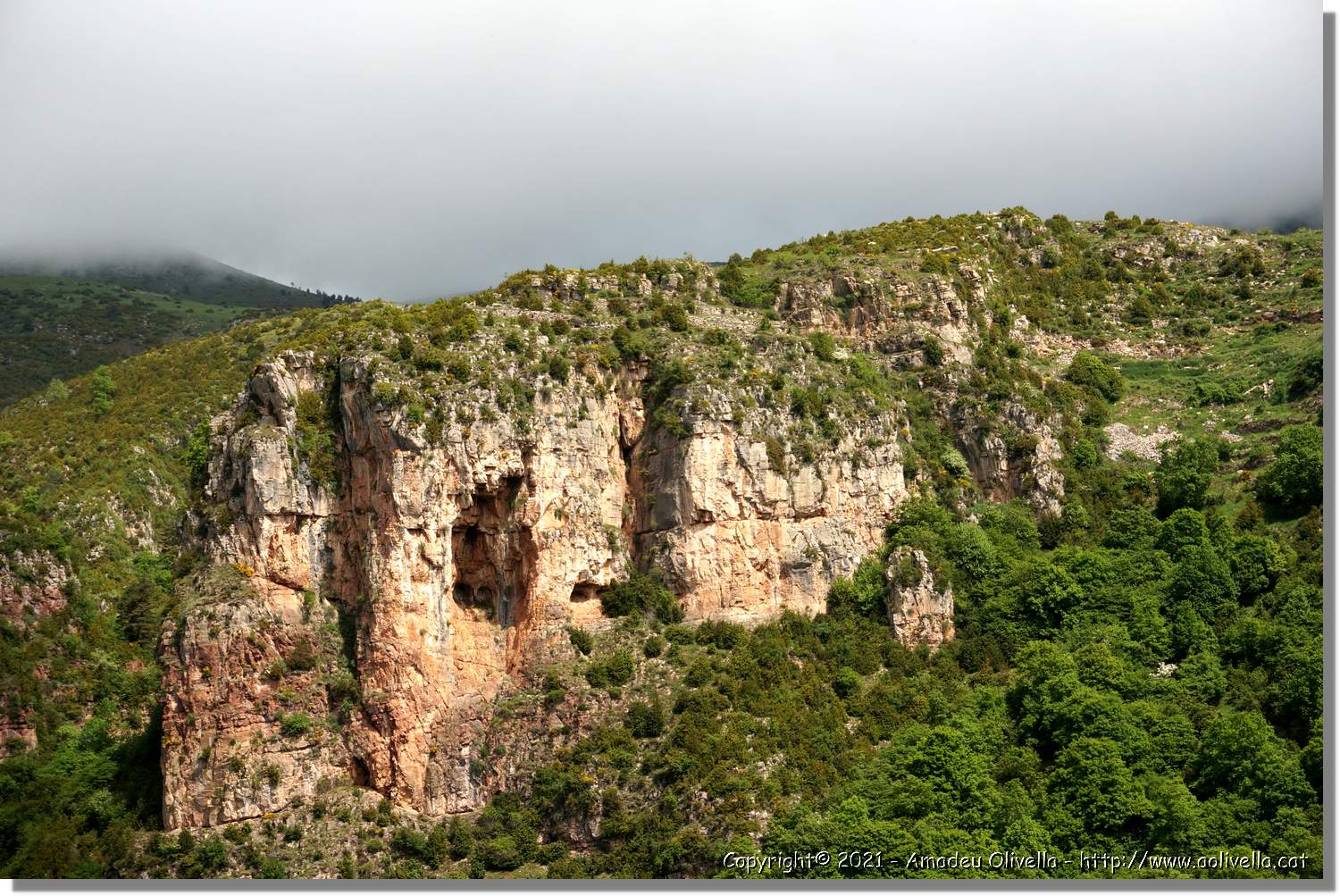 Llobregat_014.jpg