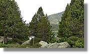 Malniu_022.jpg
