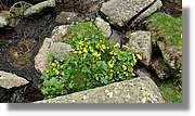 Malniu_065.jpg
