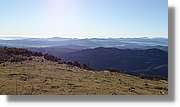 Comanegra_003.jpg