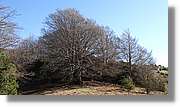 Puig-Ou_017.jpg