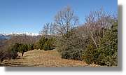 Puig-Ou_049.jpg