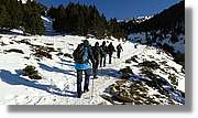 Vallter_001.jpg