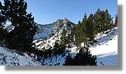 Vallter_005.jpg
