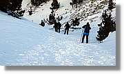 Vallter_008.jpg