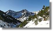 Vallter_030.jpg