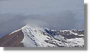 Rabassa_025.jpg