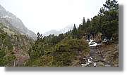 Rialb_017.jpg