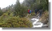 Rialb_018.jpg