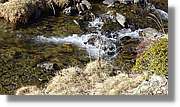 Rialb_080.jpg