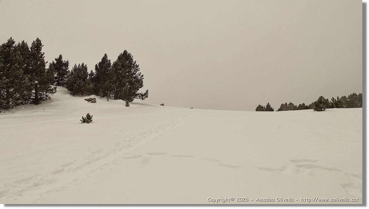Cerdanya_010.jpg