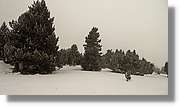 Cerdanya_011.jpg