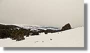 Cerdanya_016.jpg