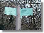 Bellmunt_10.jpg(162 KB)