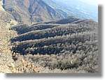 Bellmunt_28.jpg(147 KB)