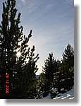 cadinell_13.jpg(103 KB)