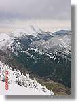 cadinell_38.jpg(111 KB)