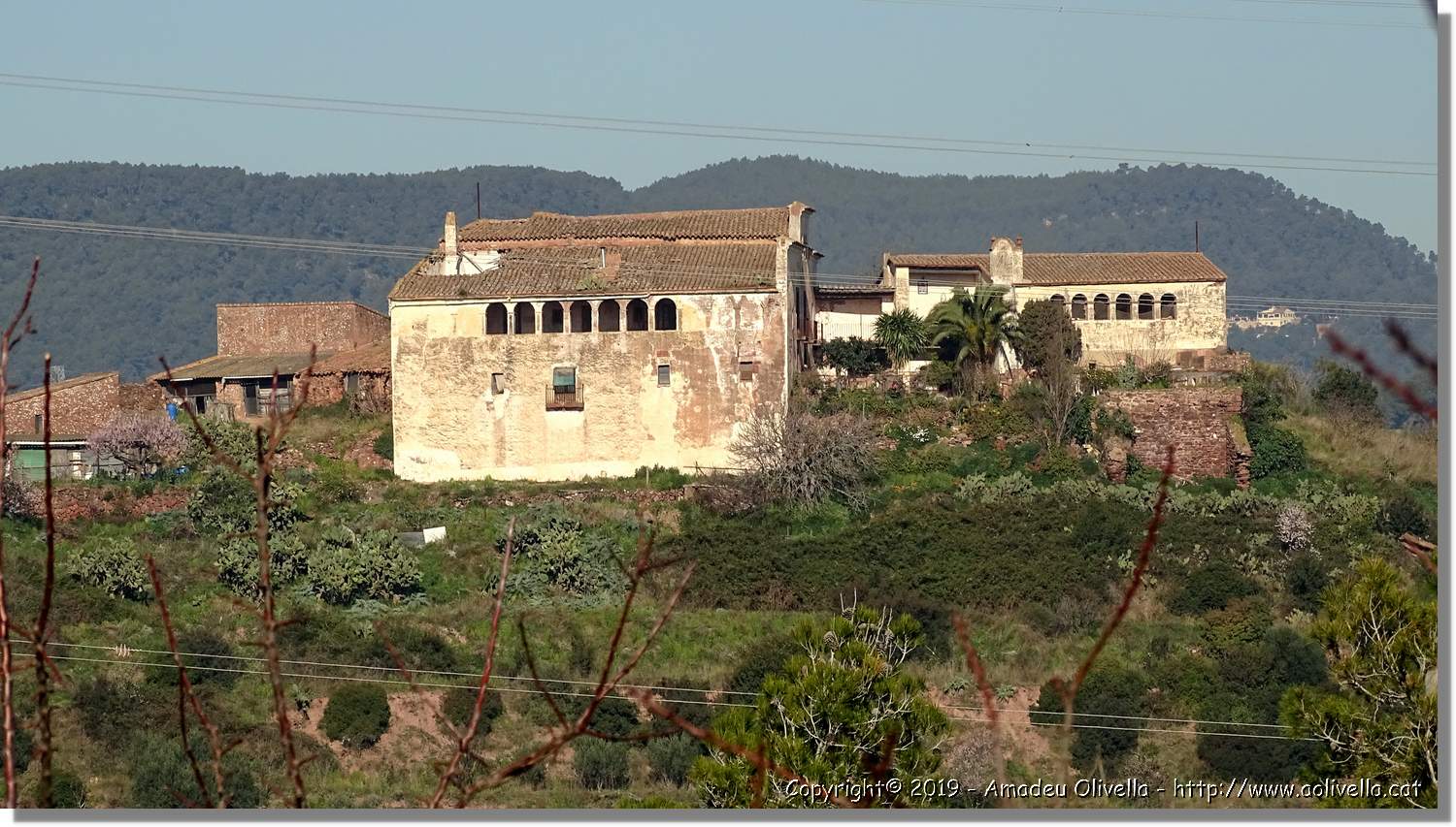 CanRiera_017.jpg