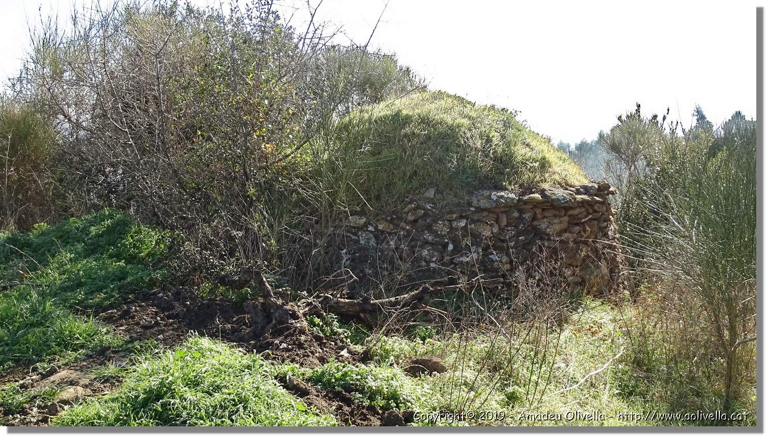 CanRiera_026.jpg