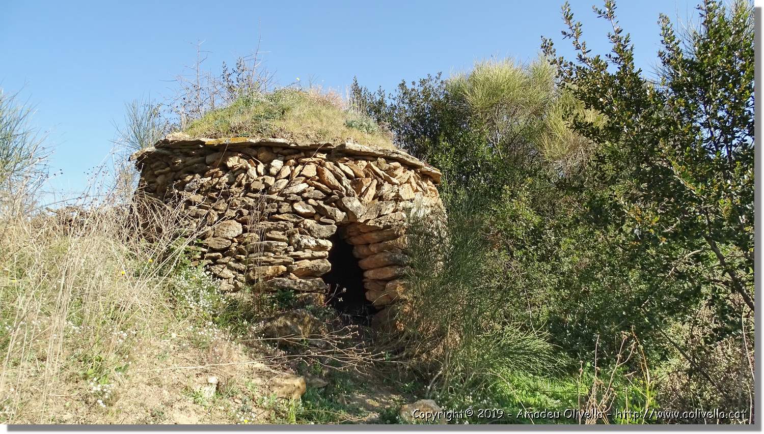 CanRiera_027.jpg