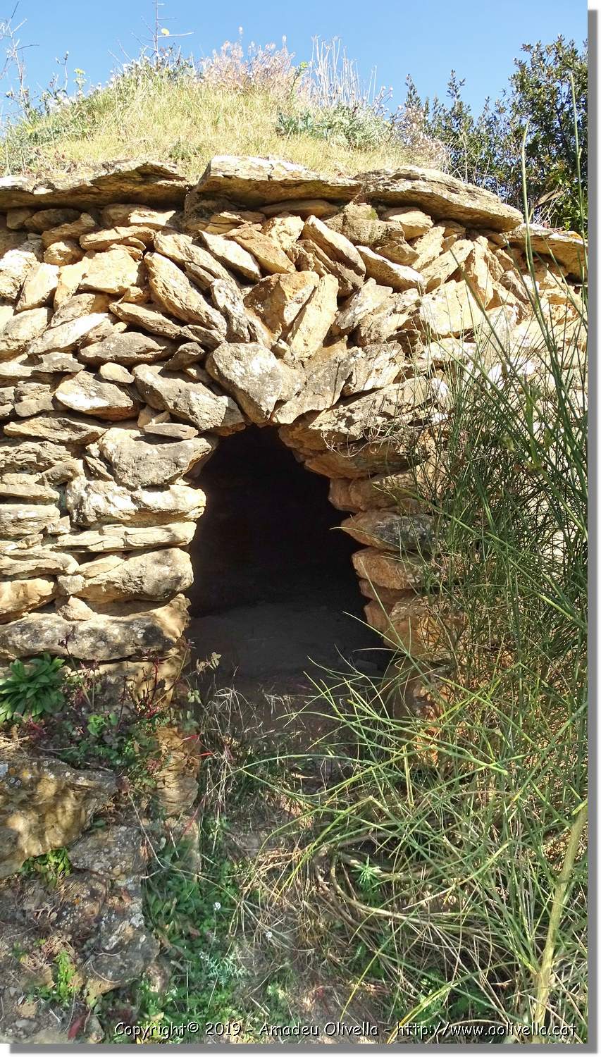 CanRiera_028.jpg
