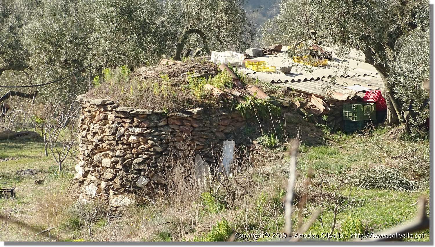 CanRiera_029.jpg