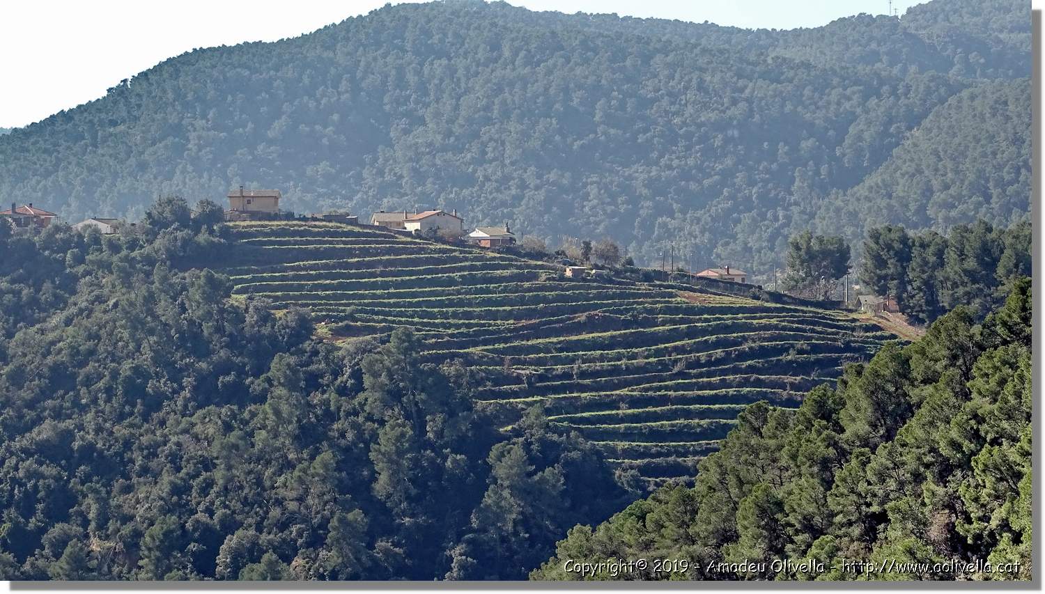CanRiera_048.jpg