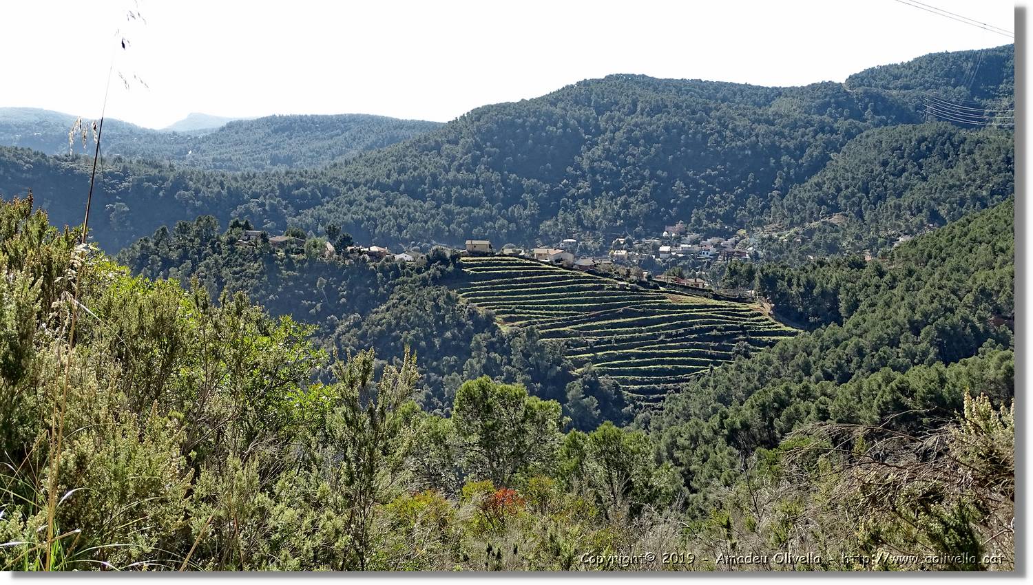 CanRiera_133.jpg