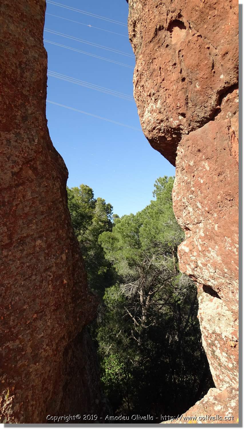 CanRiera_154.jpg