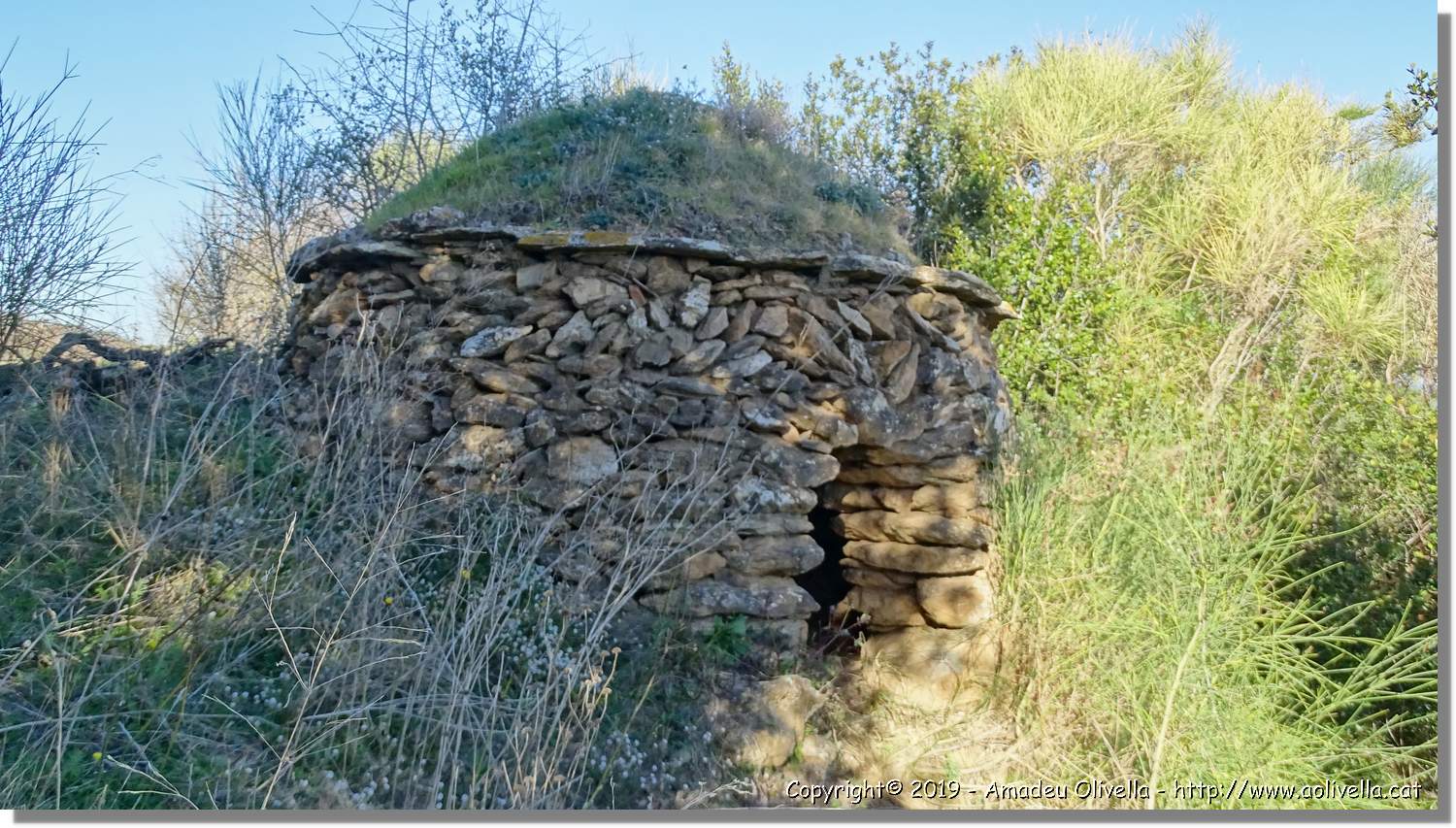 CanRiera_169.jpg