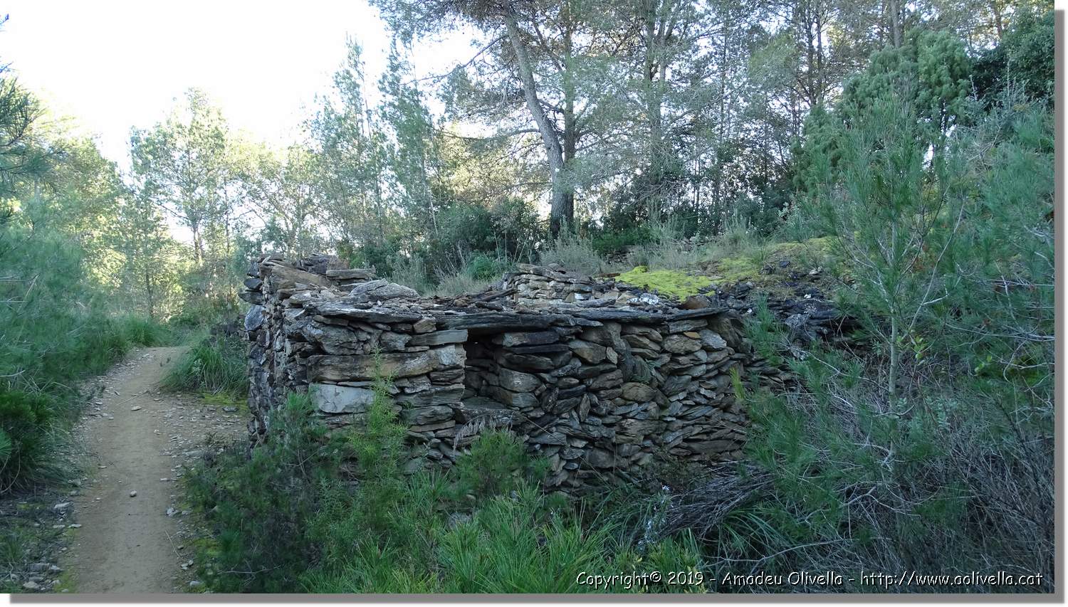 CanRiera_179.jpg