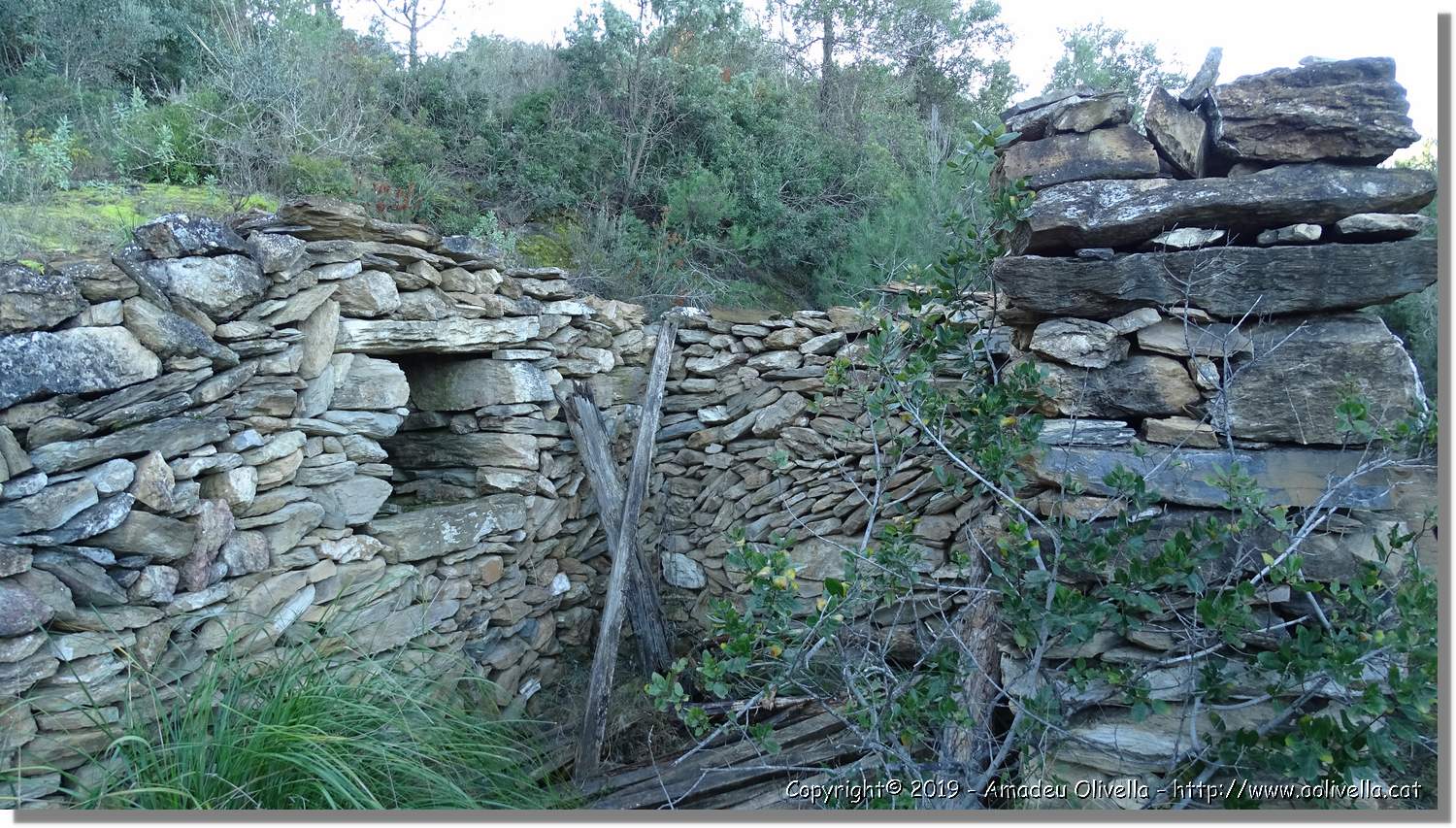 CanRiera_180.jpg
