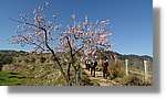 CanRiera_019.jpg