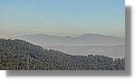 CanRiera_020.jpg
