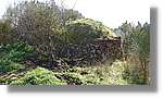 CanRiera_026.jpg