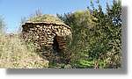 CanRiera_027.jpg