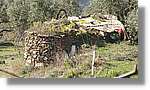 CanRiera_029.jpg