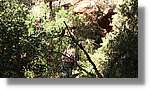 CanRiera_030.jpg