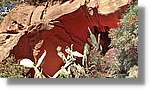 CanRiera_132.jpg