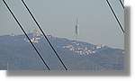 CanRiera_140.jpg